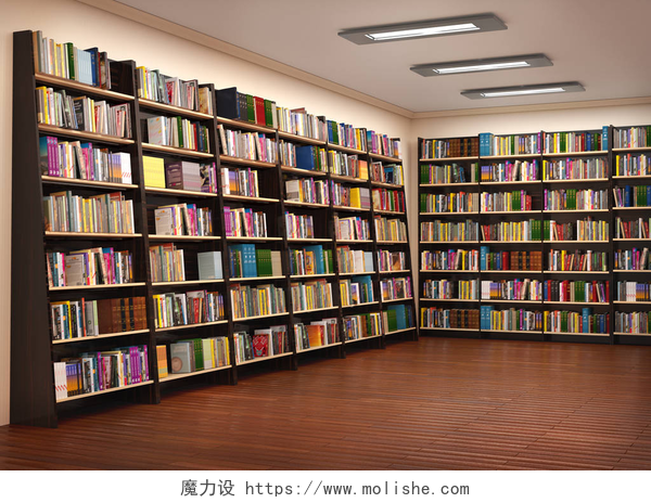 简约风格装修的图书馆书架在书店。3d 插图